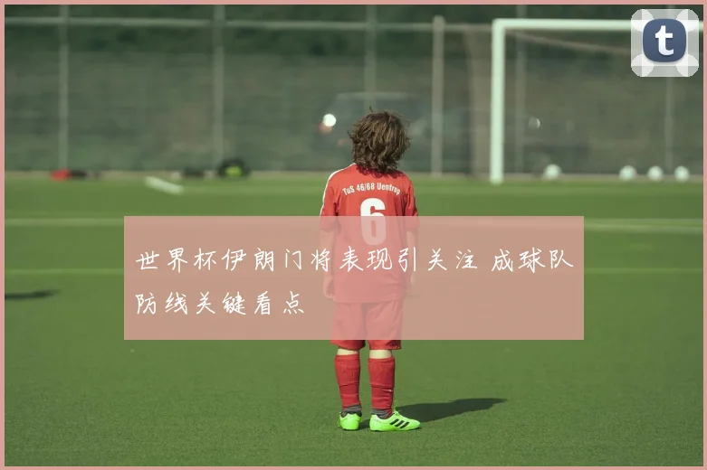 世界杯伊朗门将表现引关注 成球队防线关键看点